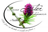 Trovarti Legno arredo FAUSTINI BRUNO